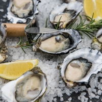 oyster menu