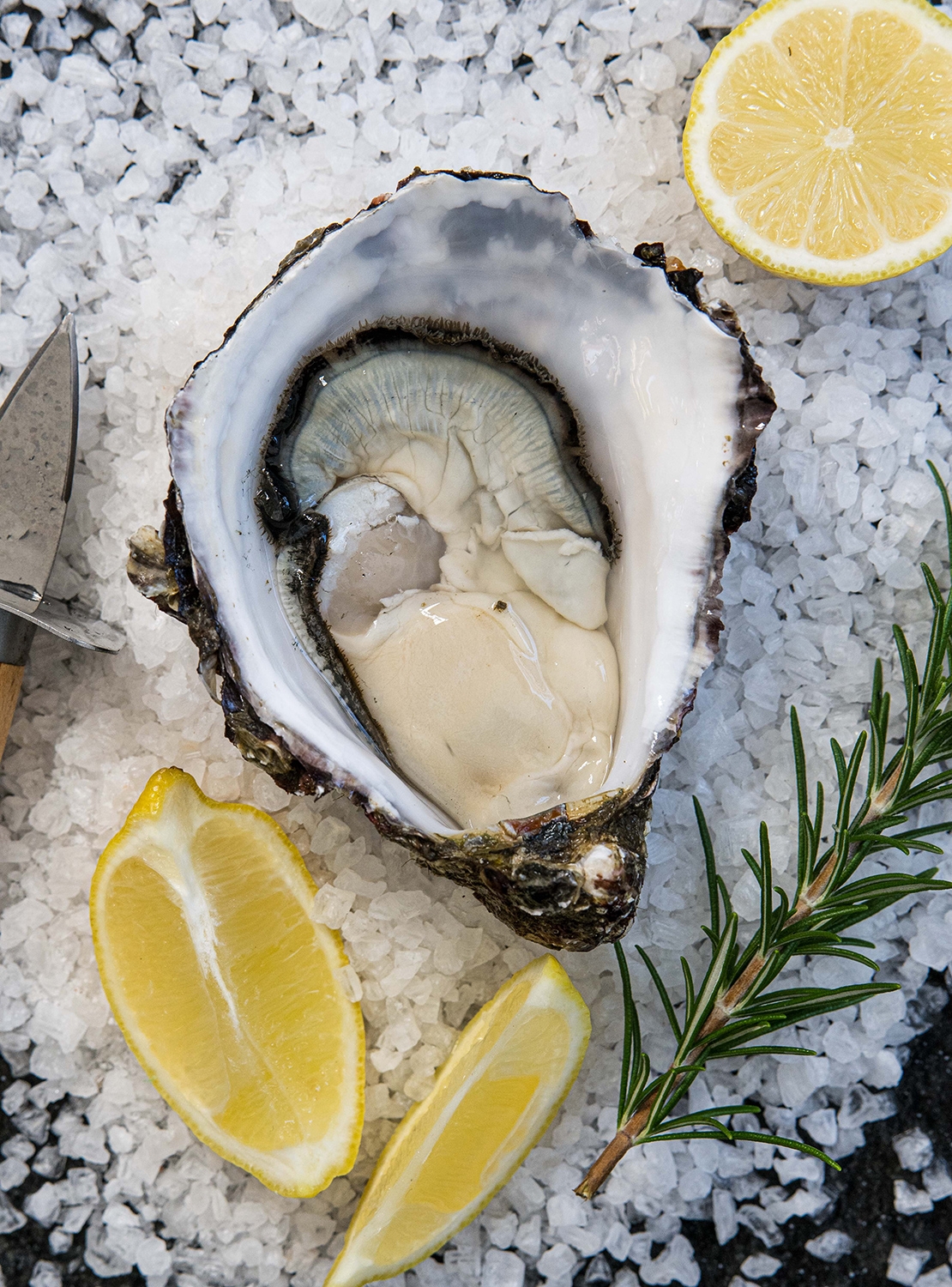 Get Shucked oyster